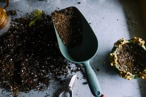 gardening-690940_640
